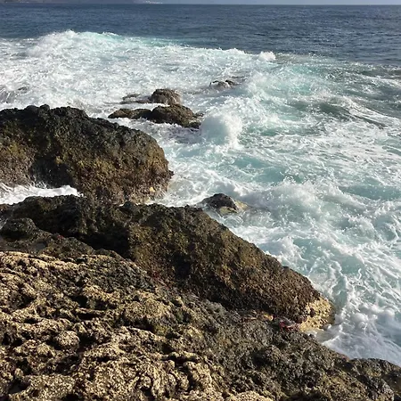 Mero Dragon View * Sardina